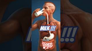 See How Milk Powers Your Body!