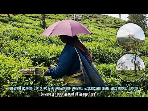 MEPPADI TO PUTHUMALA l VIA BOCHE 1000 acre tea estate