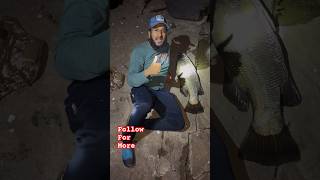 Want to catch Big barramundi ? know the right tips on our channel !!! #barramundi #barramundifishing