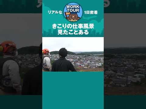きこりの仕事風景　#shorts