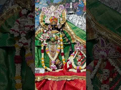 श्री राधावल्लभ लाल जी महाराज के सुंदर दर्शन #trending #shortsfeed #radheradhe #shorts