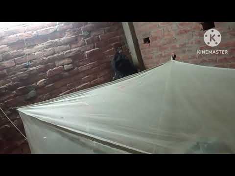 Ye kiska room hai