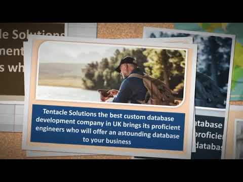 Use Custom software development UK to rule the world of software