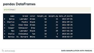 Introducing DataFrames | Data Manipulation with pandas