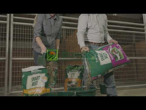 Tips on using Standlee Smart Beet