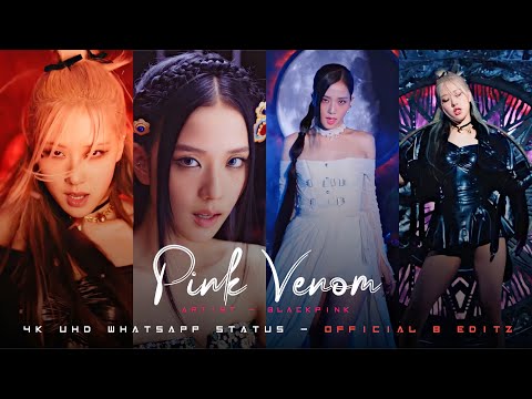 Pink Venom Full Screen WhatsApp Status | BLACKPINK | songs | 4k Status | English Songs #shorts