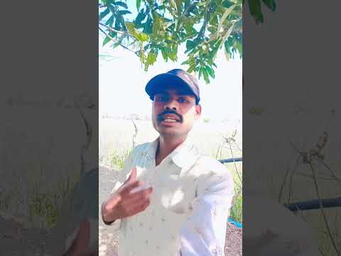 Sabki maa #my #comedy #funny #plz #comedyfilms #song #myfirstvlogger #tranding