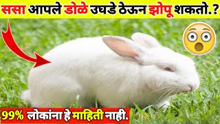 Top 10 Amazing Facts || Fact In Marathi || Interesting Facts || #FactMarathi #Shorts