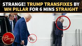 Trump's Odd White House Column Obsession Sparks 'Dementia' Claims Amid Fourth Health Checkup
