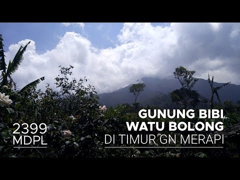 Gunung Bibi: Ibu dari Gunung Merapi - Pejalan Gunung
