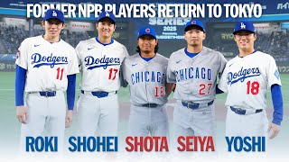 5 former NPB players return to Tokyo Dome in the 2025 Tokyo Series! (feat. Shohei, Shota, & more!)