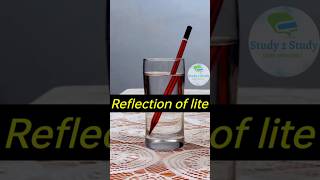 Exploring the Magic of Light Refraction  - "Refraction of Light Experiment for Class 10