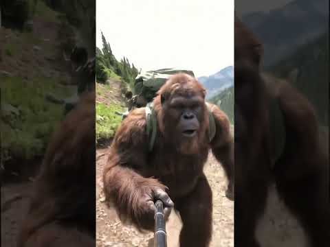 Can anyone guess what I saw 😳 #bigfoot #bigfootvlog #funny #viral #ai #bigfootai #selfiestick #run