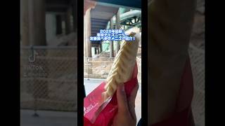 2025年最新の東京ディズニーシーの食べ歩きパークフード紹介！ #shorts #東京ディズニーシー