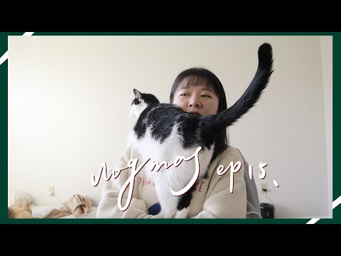 VLOGMAS ep15. ❄️ 如何慶祝考試/任務結束？How to celebrate your final?