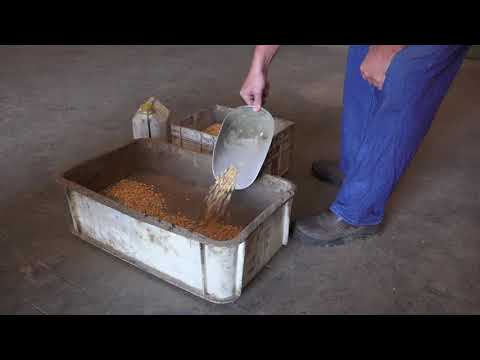 Agricon - How to Run a Die Ring in with sand
