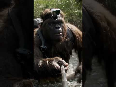 Bigfoot heading south #viral #funny #lifeisbutadream #selfieaccessories #gorilla #ai #bigfoot #vlog