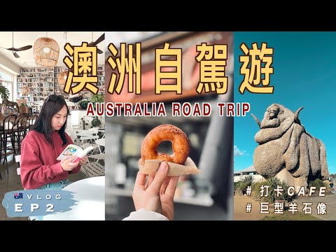 【🇦🇺 澳洲自駕遊 EP2】🌊 全球最大噴水洞 !?｜📚 打卡必去書店cafe ☕️｜優美復古小鎮 Berry｜😮 路邊巨型羊石像｜終於抵達澳洲首都Canberra｜廣東話