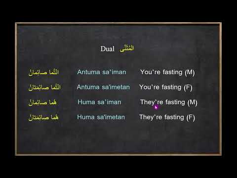 Sa'im Singular Dual Plural صائم صائمان صائمون #arabic #learnarabic