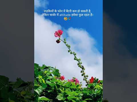 लड़कियों के 🌹🥀😆... #motivation #love #music #quotes #shayari #instagram #sad #status #trendin