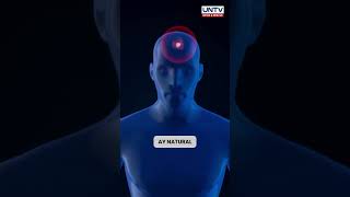 Why does total darkness affect the circadian rhythm or body clock?
