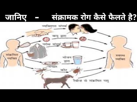 संक्रामक रोग कैसे फैलते है?
