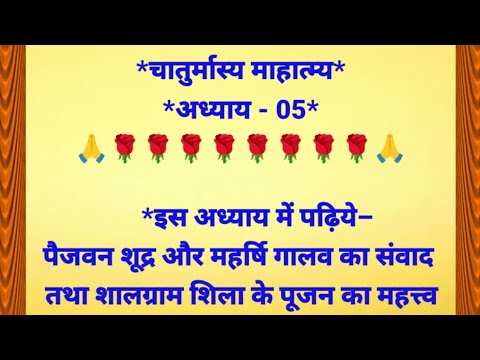 कौन सी 24 मूर्तियां😇 24 एकादशियों से संबंध रखती हैं | शालग्राम-शिला के चौबीस भेद | स्कन्द महापुराण