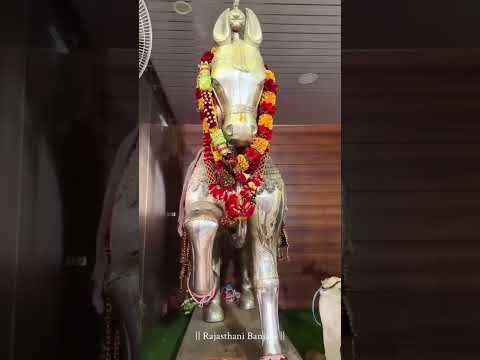 जय बाबा रामदेव जी की जय #comedy #bomiya #violin #viralshort #babaramdevji #balochisong #bhatiyani