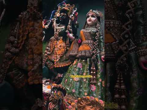 Humari Radha Rani #radharani  #radhavallabh  #kanhaiya  #ytshorts #trendingvideo