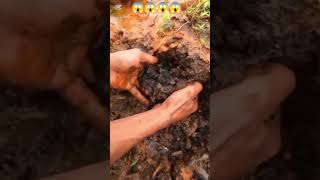 #mining #gold #goldbusiness #goldindustry #satisfying #unfrez #nature #love #goldmining 😱😱😱😱😱