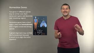 Biological Sequence Comparison Lecture 7: From Global to Local Alignment | Bioinformatics