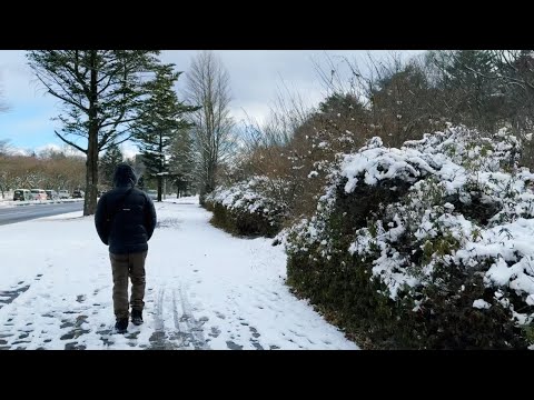 めがね橋でハイキング＆初雪の軽井沢❄️