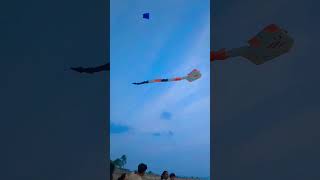 #kitefestival #beachlife#howtolivehappylife #beautiful