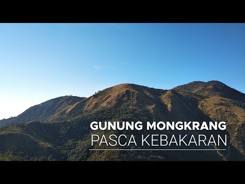 Gunung Mongkrang, Selatan Gunung Lawu, Pasca Kebakaran - Pejalan Gunung