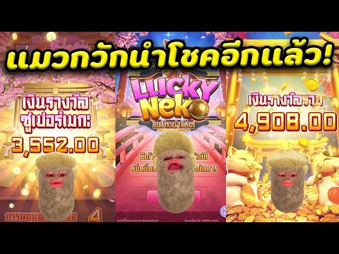 Lucky Neko│ลักกี้เนโกะ แมวกวักนำโชค #shortsvideo  #shorts  #pg