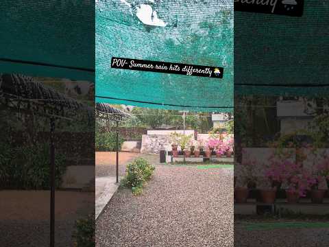 Summer rain I Kerala diaries