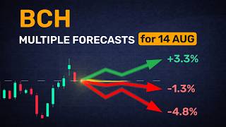 Is there a consensus? BCH forecast in 1 day