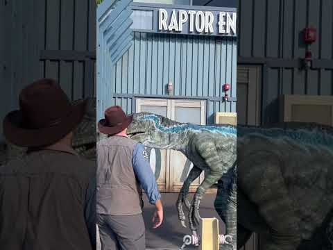 Raptor encounter @ universal Hollywood #halloweenevent
