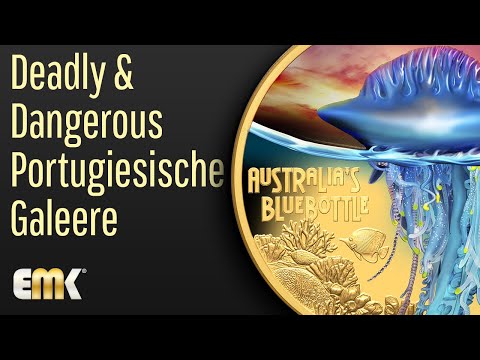 Deadly & Dangerous Portugiesische Galeere 1 Oz Gold Polierte Platte in Farbe