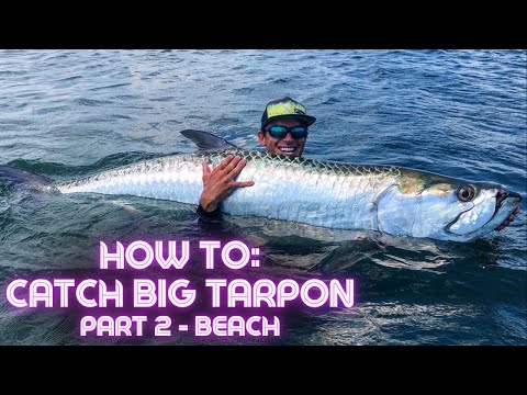 How To: Catch BIG TARPON! Part 2. Beach Fishing