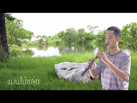 ลาวครวญ - cover ขลุ่ย Low B【แมนไม้ขลุ่ย】