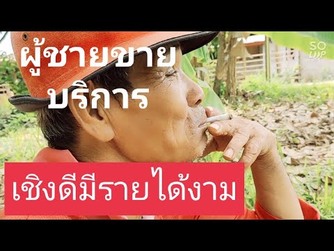 อาชีพผสมพันธุ์วัว - อาชีพสร้างรายได้Channel