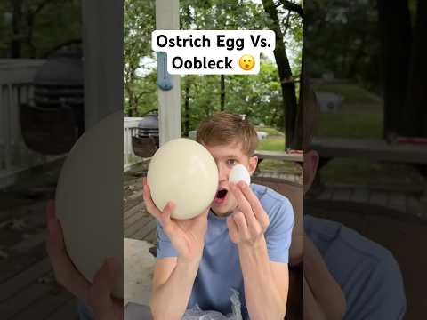 Giant Ostrich Egg Vs. Oobleck #shorts