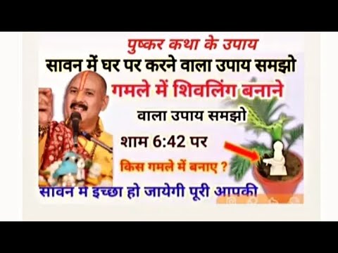 सावन में घर में करने वाला उपाय| गमले में शिवजी वाला उपाय समझो| सावन इच्छापूर्ति उपाय| शाम 6:42 वाला|