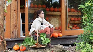 Is a self-sufficient way of living worth it? 5 years into homesteading