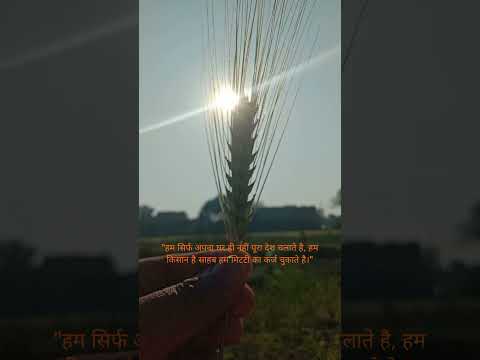 Kishan ki COMPANY "ft. Eniway bantai #shorts #viral #up79