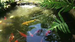 Peaceful Calm – KOI (A Journey Of Music, Calm, Peace And Relaxation)
