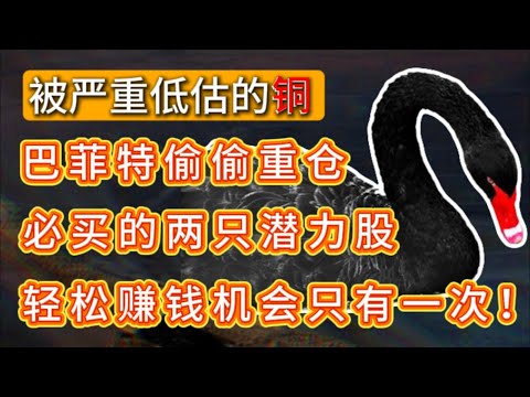 被严重低估的铜，巴菲特已经偷偷重仓买入两只潜力股，普通人轻松赚钱机会只有一次！FCX,SCCO #trading #熱門 #投資  #美股