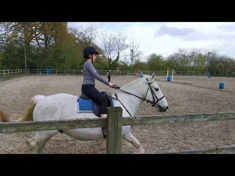 Learning to canter from trot -Wellgrove Farm Stables, Pembury - 4K video, P30 Pro, DJI Osmo 3 gimbal