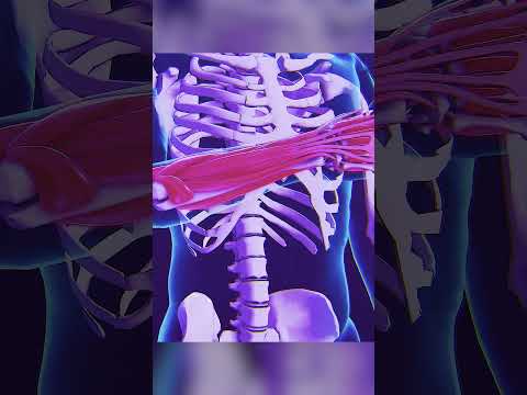 EMG waves explained #shorts #emg #biomechanics #performance #sportsscience